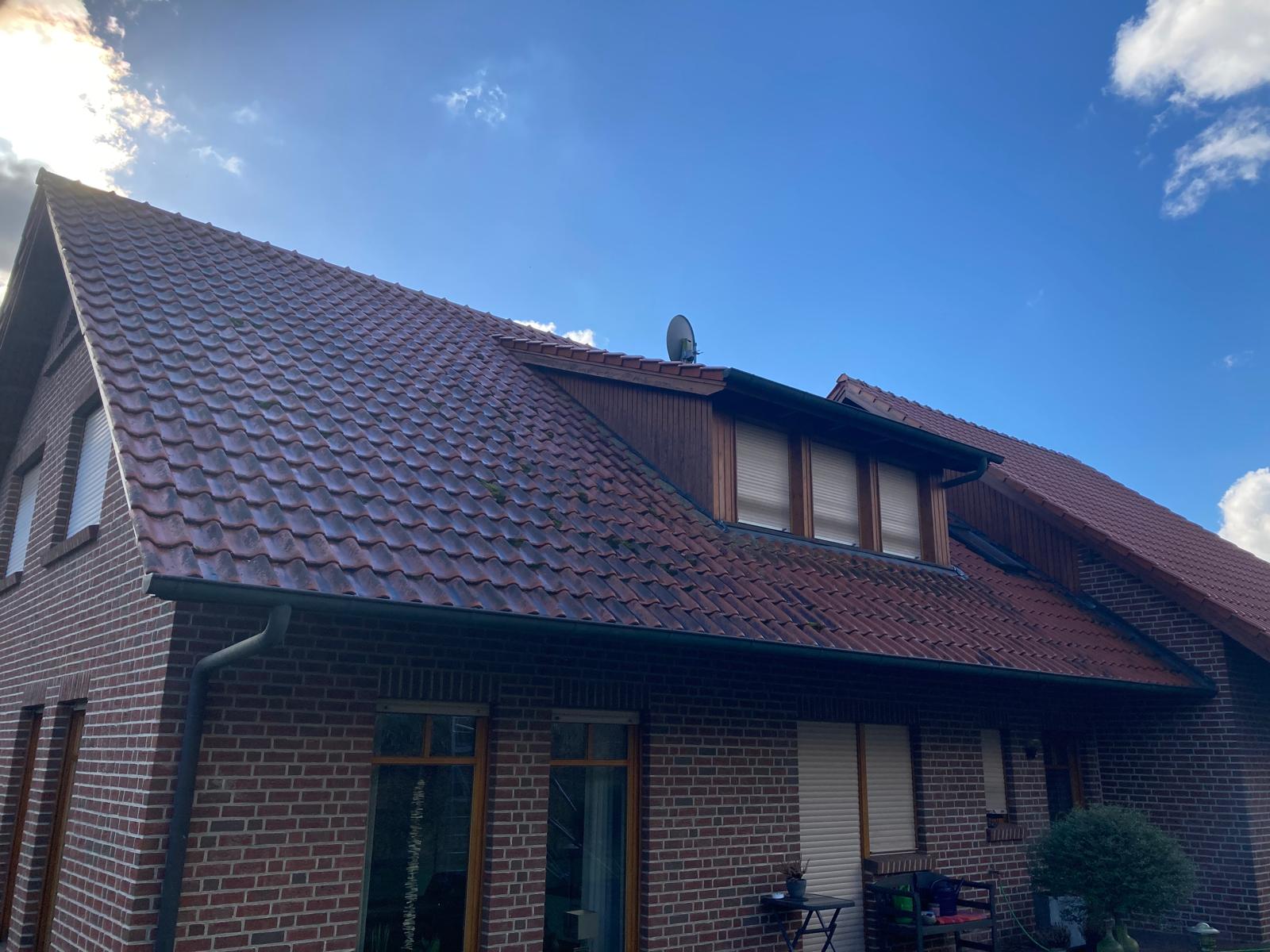 Dachzustand vor der Reinigung